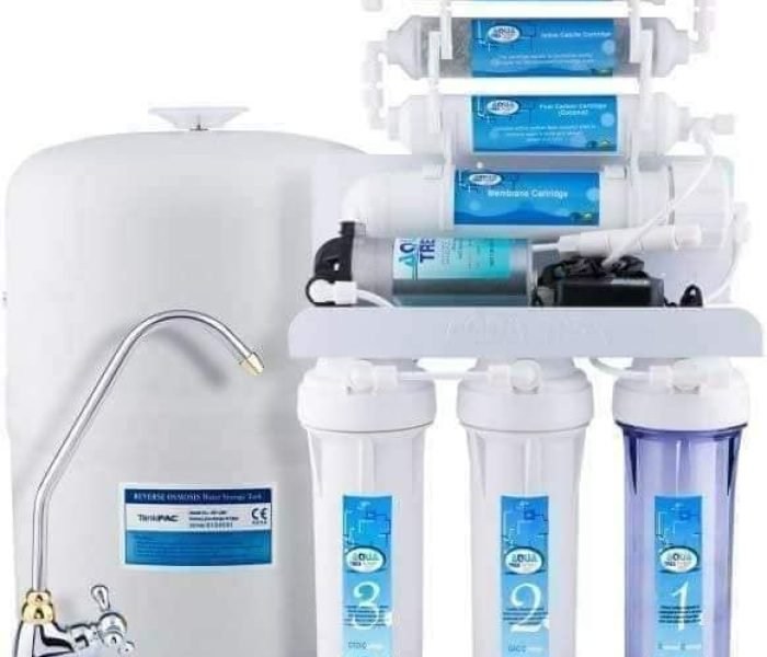 53260569_441340689940709_2193727638185443328_n